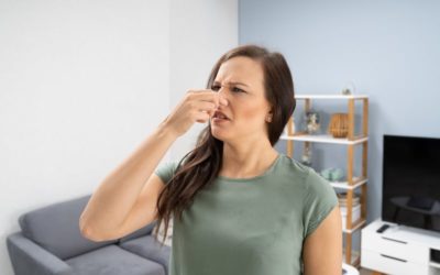 3 Furnace Odors and What They Mean in Taneytown, MD