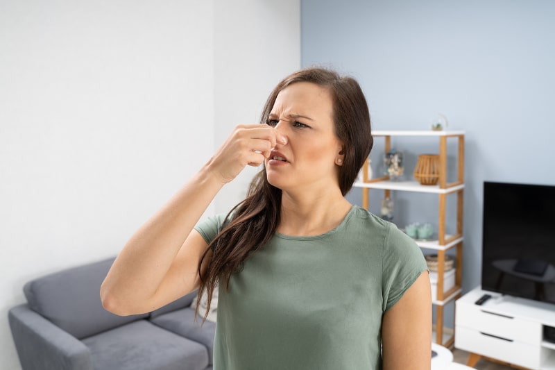 Furnace Odors in Taneytown, MD